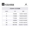 Jordan Essentials Fleece Hoodie HQ4644-222