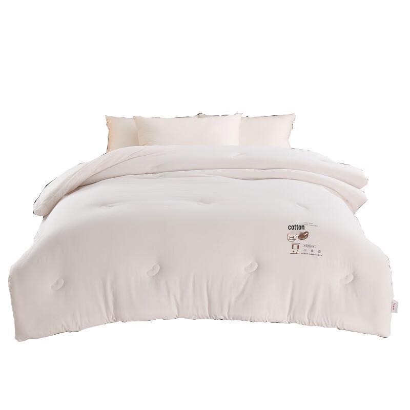 

Hengyuanxiang TGB2048 All-Season Comfort Quilt