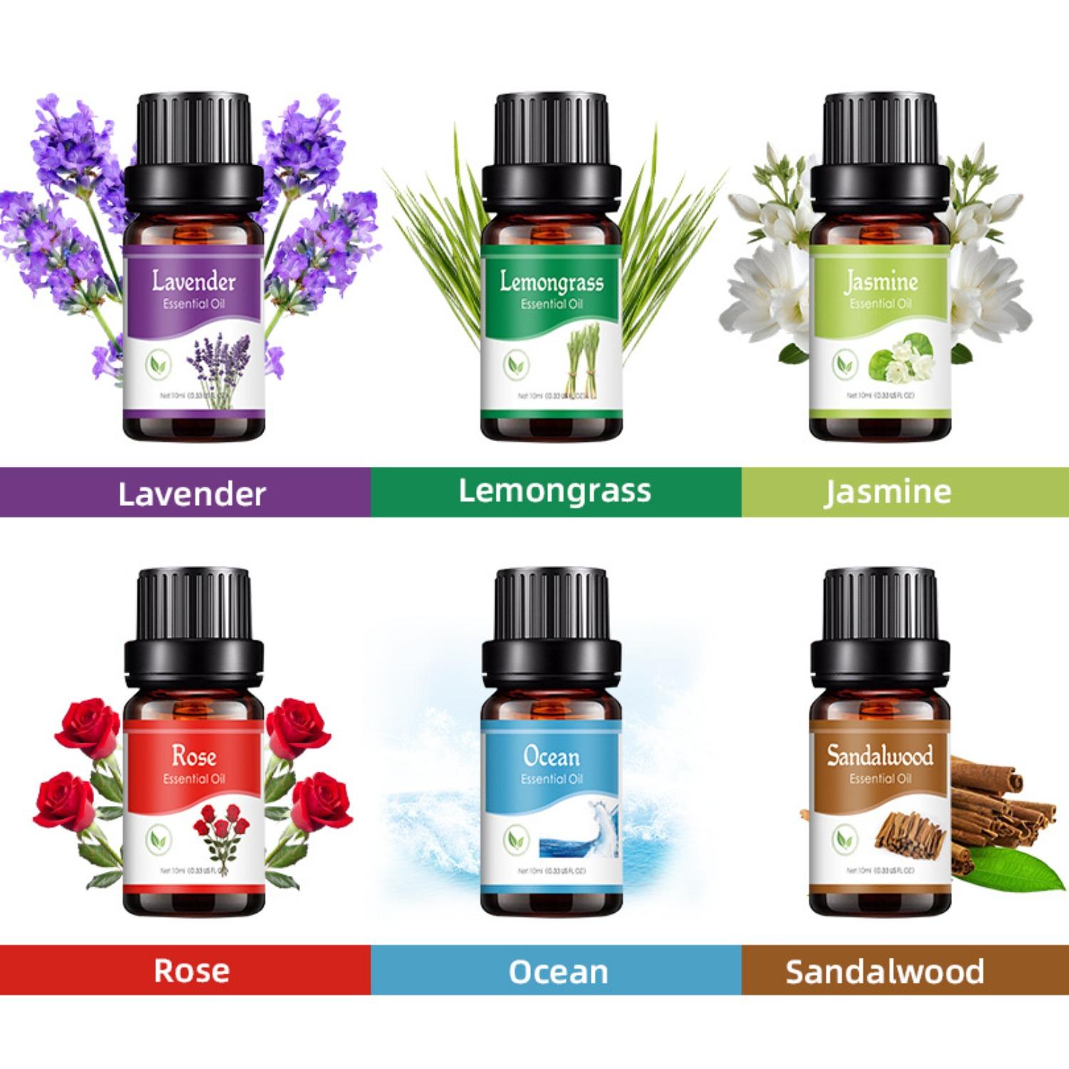 Essential Oils Set - 6 Blends for Diffusers, Home Care, Candle Making Scents, Fragrance, Aromatherapy, Humidifiers, Gifts - Peppermint, Lemongrass 6-Pack