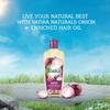 Natural Onion Hair Oil