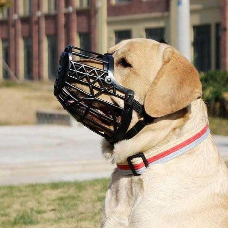how much does a dog muzzle cost