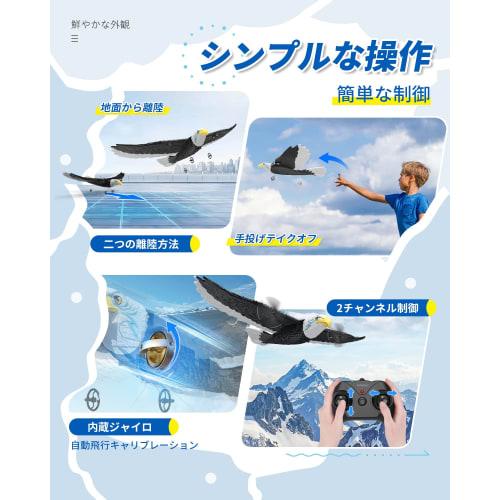 RC Glider, RC Airplane for Kids and Beginners, 2 Batteries Included, EPP Material, Lightweight, Durable, Impact Resistant, 6-Axis Control, 2.4Ghz, 2-C