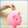 Cute Piggy Bank Money Box Household Money Saving Box Practical Cartoon Pig Shaped Lovely Funny Fashion for Kids Birthday Gift