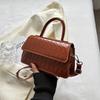 Trendy Street Style Crossbody Bag Chic Handheld Small Square Purse For Daily Use