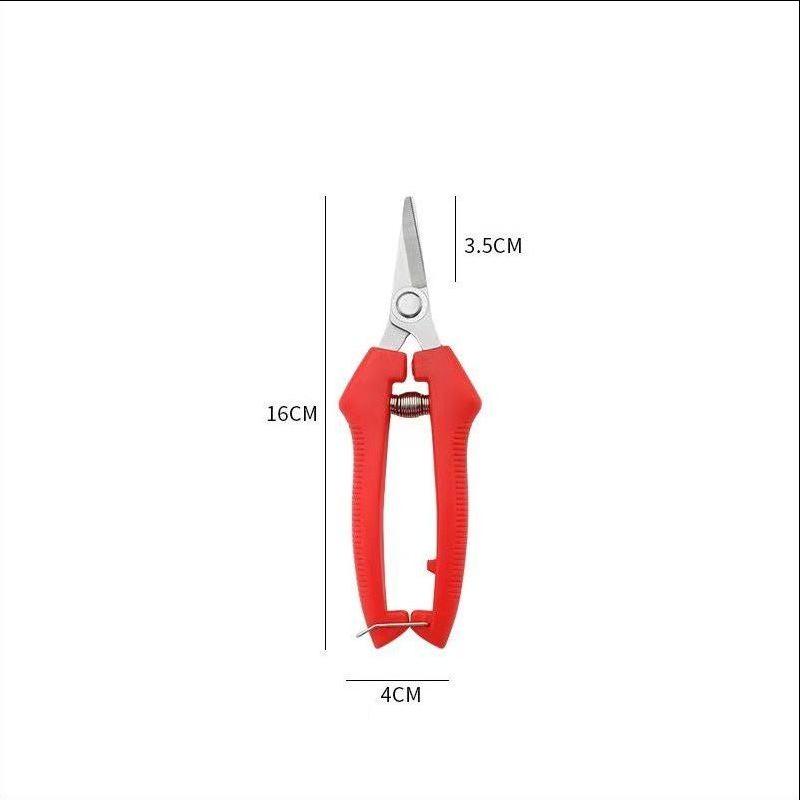 Многофункциональные секаторы из нержавеющей стали для садоводства и флористики Small