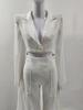 Women's Sheer Wide-Leg Blazer Set