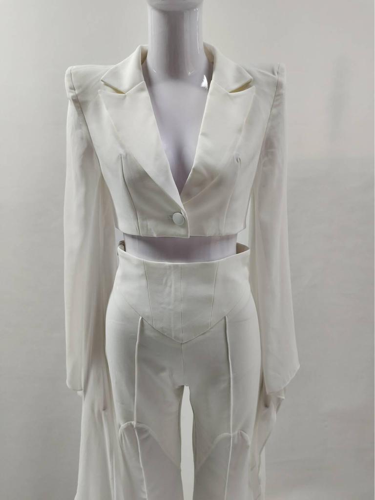 Women's Sheer Wide-Leg Blazer Set