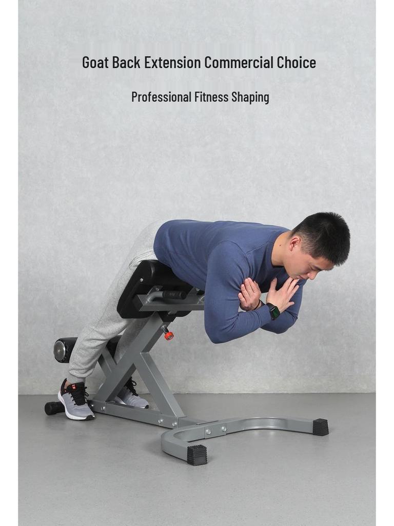 Commercial Roman Chair Back Trainer & Fitness Bench