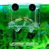 Aquarium Hatching Incubator Box Aquarium Fish Breeder Box Durable Betta Fish Tank Fish Breeding Isolation Box for Fish Shrimp