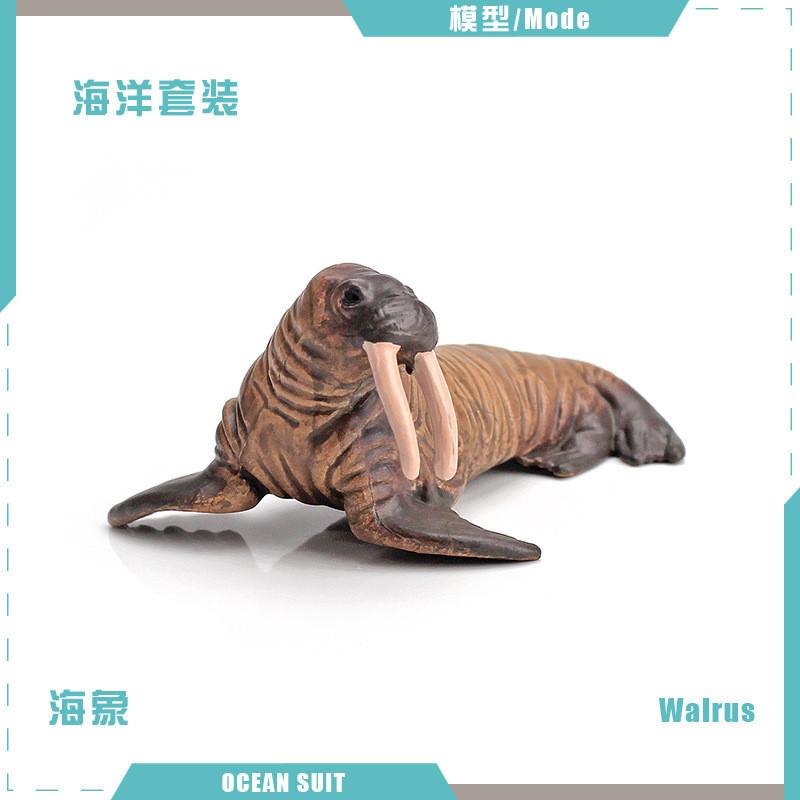 Zestaw modeli zwierząt oceanicznych premium z PVC, w tym rekiny, żółwie, delfiny, pingwiny i kraby do zabawy edukacyjnej