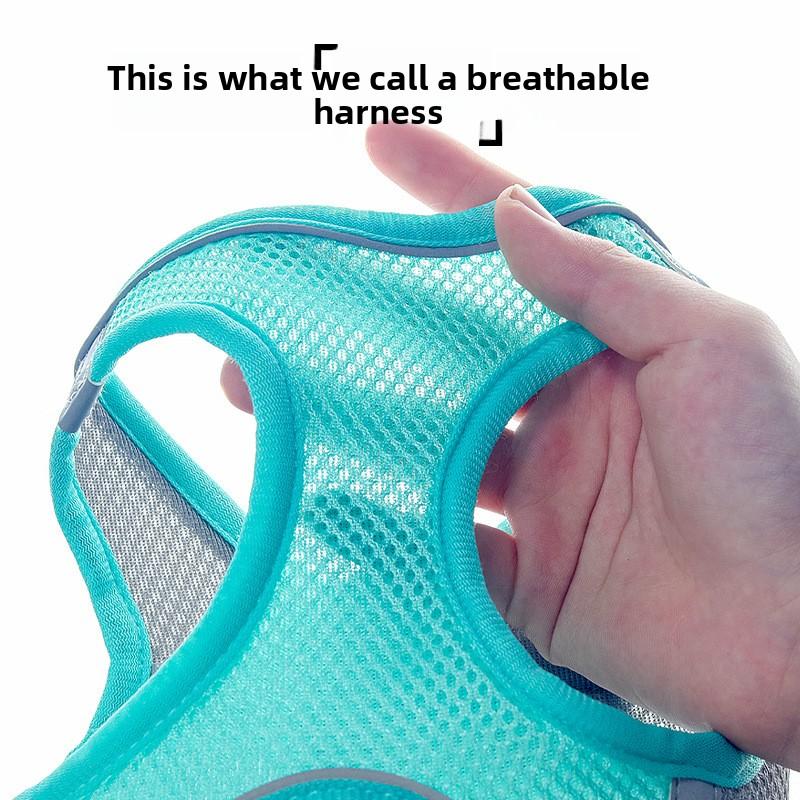 Haustier Outdoor Leine, Kleine und Mittelgroße Hunde Brust und Rücken Reflektierende Hundeleine, Katzenleine