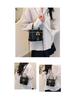 2025 Spring/Summer Korean Style Women's Fashionable Small Square Crossbody Handbag