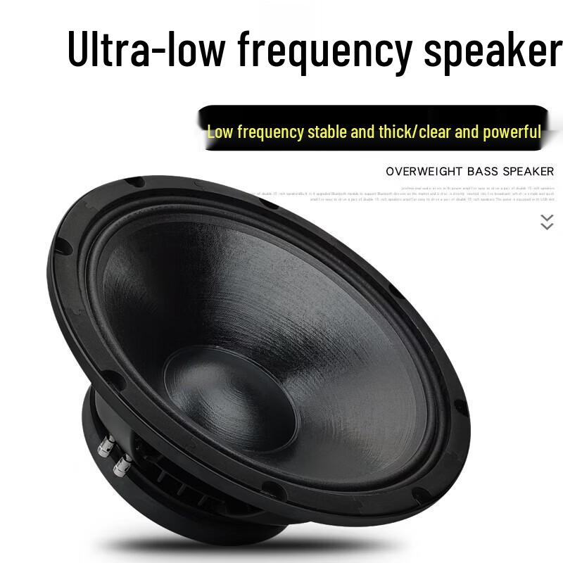 KAXISAIER Professional Passive Full-Range Speaker CN Plug (adapter Included)