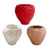 3D Printed Flower Pot, Realistic Strawberry Mini Planter, with Matte Fresh Color Desktop Decor, Gift for Birthday Housewarming