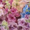 72cm Delphinium Stem Lifelike Simulation Flower Artificial Delphinium Flower  Christmas Decoration