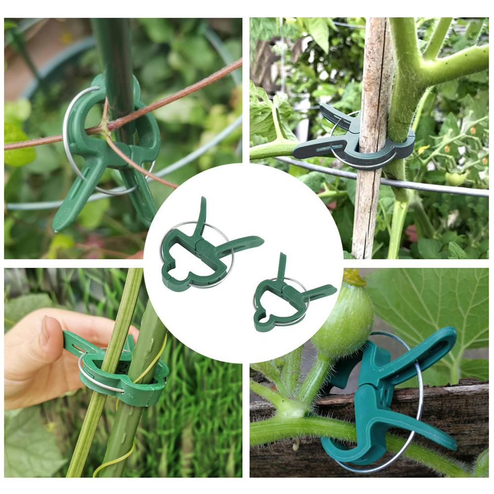 20PCS Garden Butterfly Orchid Garden Set Tomato Plants Clip Plastic Clips Gardening Tools
