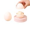 Dust Cover Designed for Repeated Use with Strong Adhesive Egg-shaped Water-washable Lint Remover