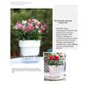 Self-Watering Flower Pots Plastic Flower Plant Pots With Drainage Holes For Living Room Plants Flowers Gardening Accessory