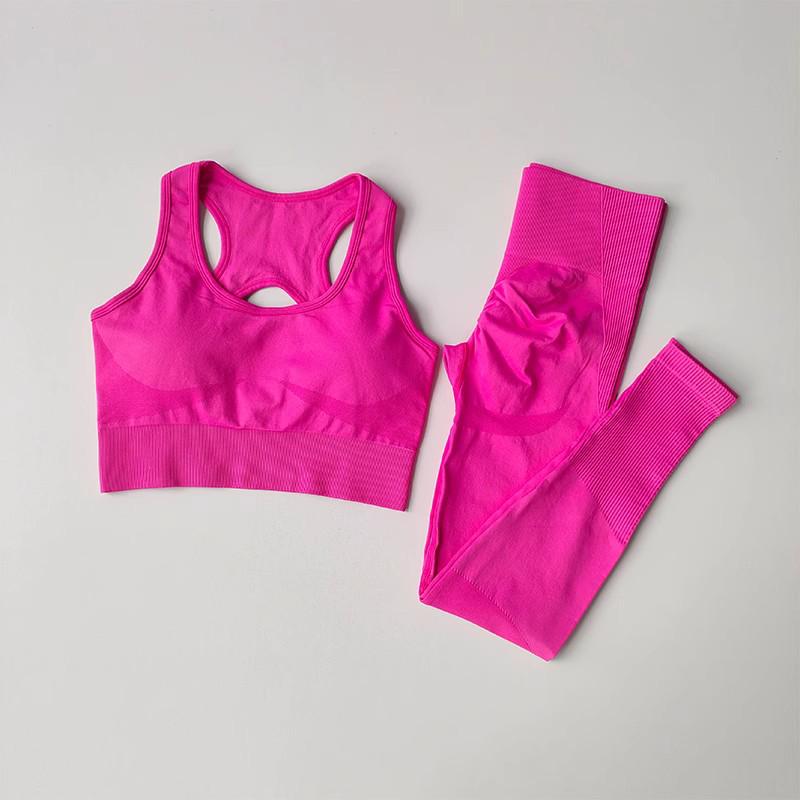 Women's Quick-Dry Seamless Sports Bra and Leggings Set - Shockproof Vest for Running and Yoga