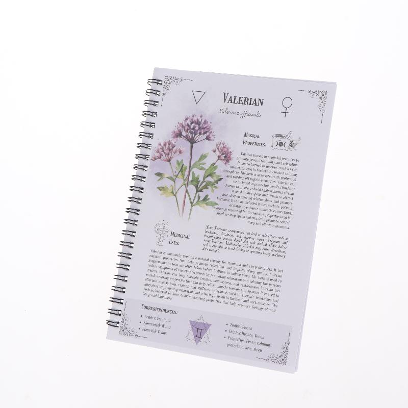 Natural Healing Guide Spiral Bound Herbal Book With Step-By-Step Recipes For Heart Health Blood Pressure And Focus Enhancement