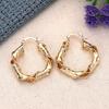 1 Pair, Stylish, High-end Design, Irregular Shape Earrings