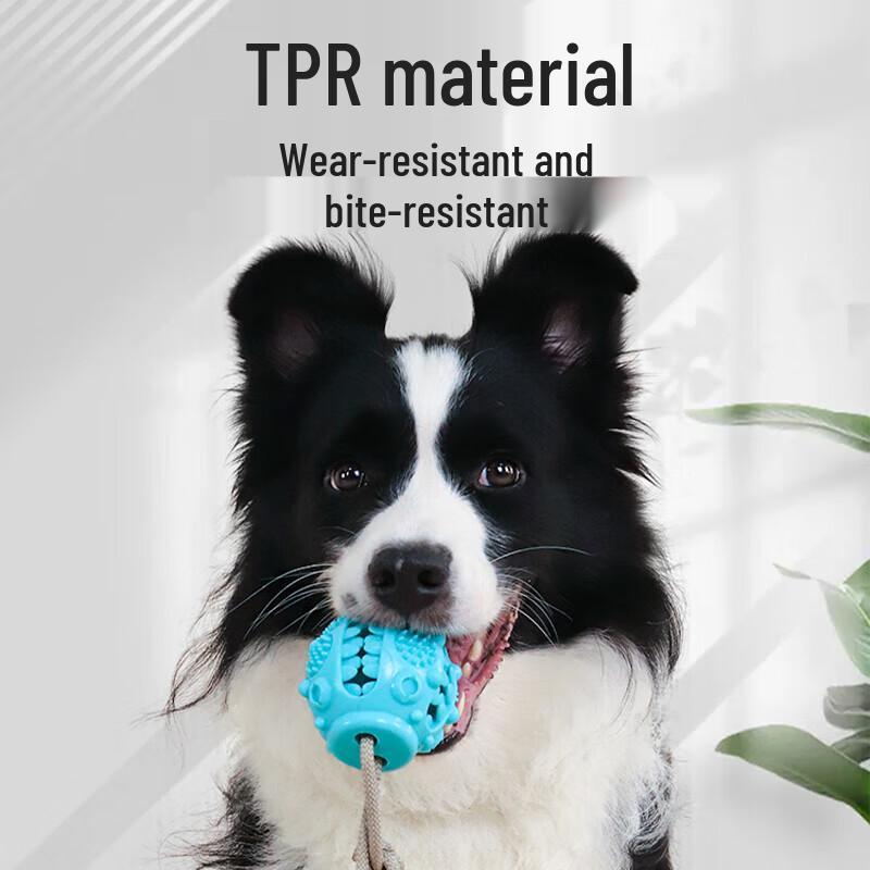 Dog Suction Cup Chew Toy