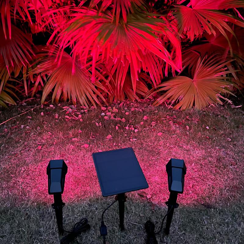 Solar Dual-Head Lawn Spotlight