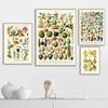 Botanische Blume Pilz Obst Leinwand Gemälde Wildpflanze Pilz Poster und Druck Wandkunst für Wohnzimmer Wand Dekor Cuadros
