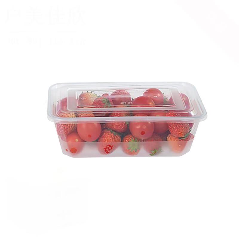 

MiaoJie Disposable Square Food Containers with Lids