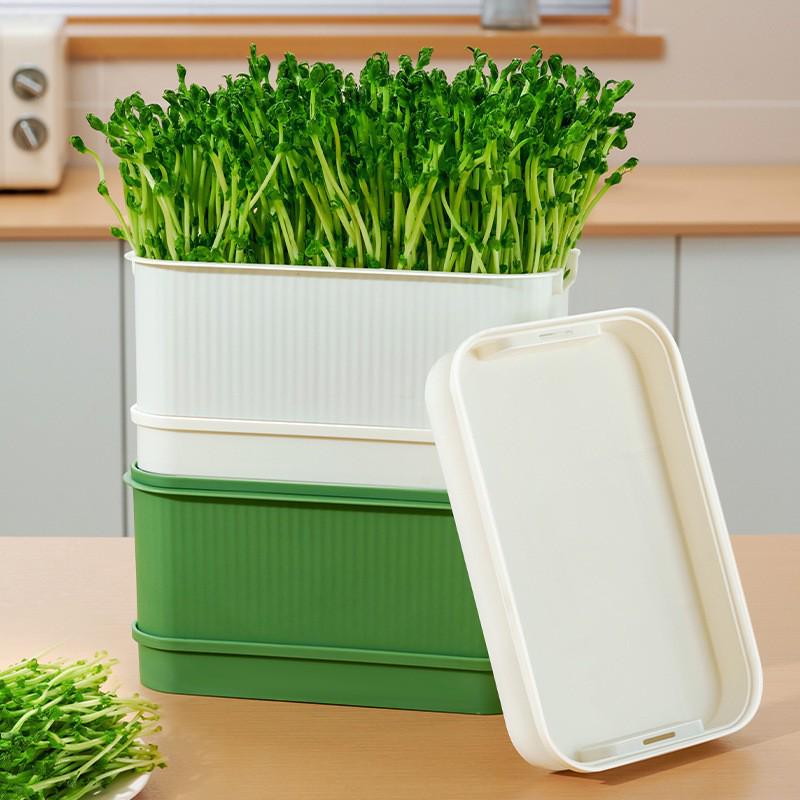 Plastic Seedling Tray for Soil-Free Sprouting – Ideal for Soybean and Mung Bean Sprouts