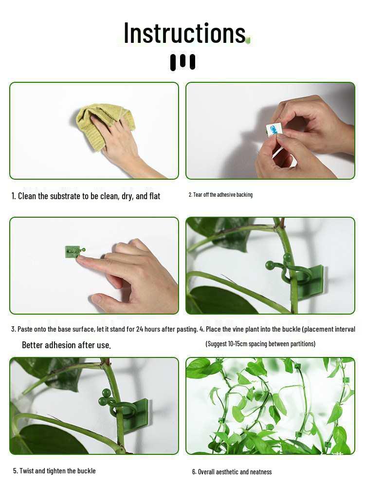 Pothos Climbing Clips: Rose Green Plant Wall Hooks for Vines