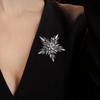 Creative Star Pins Blue Purple Women Brooches Badge Fashion Snowflake Flower Brooch  Gift
