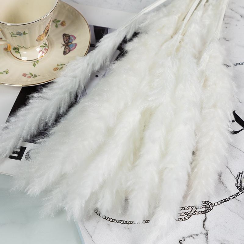 Small Reed Pampas Grass Dried Flower Special Offer Small Reed Dried Flower Bouquet Decoration Wedding Arrangement