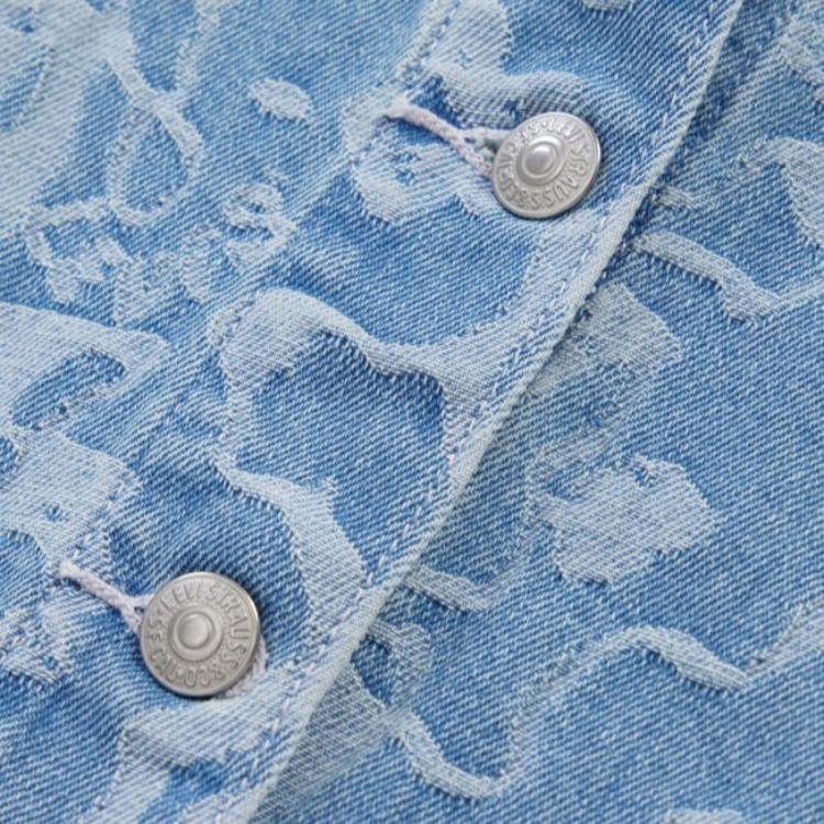 Levis Šaty midi z prodyšného denimu s V-výstřihem a puff rukávy se zvířecím potiskem Zebra Dámské šaty Světle modrá A6814-0001