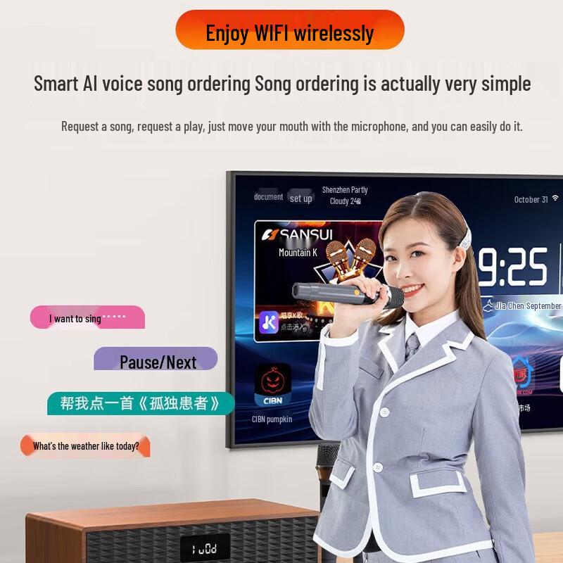 SANSUI C50 Home KTV Audio System