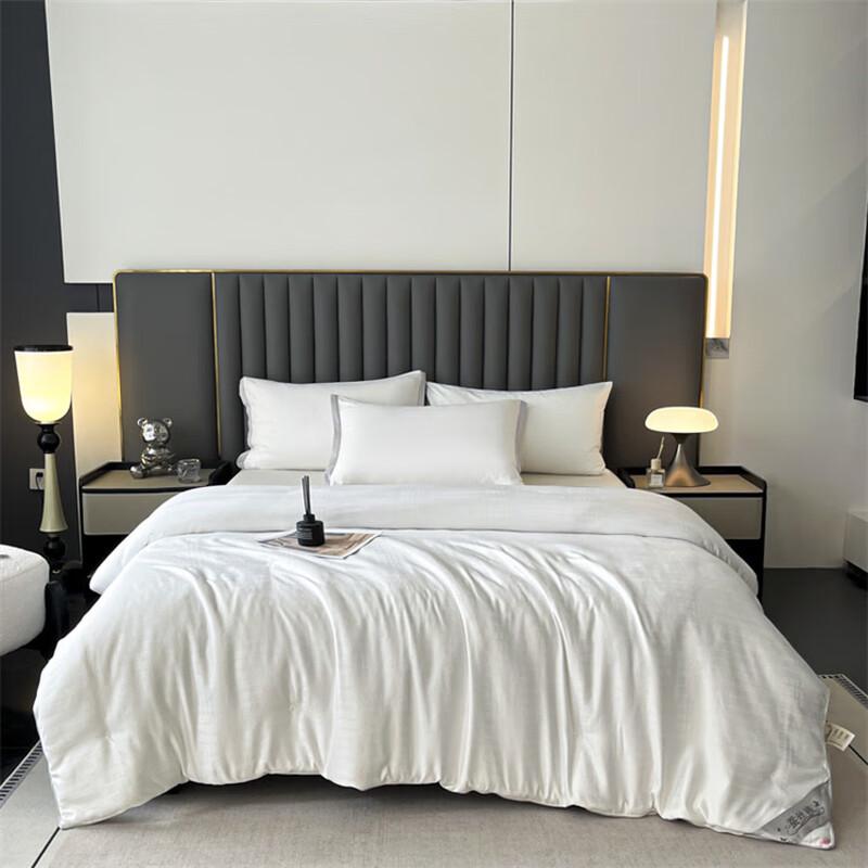 

Aofuni Modal Silk Blend Winter Quilt