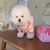 Pet Supplies Cute Pet Strawberry Base Shirt Soft Breathable Dog Vest Fashion Pet Clothes Summer