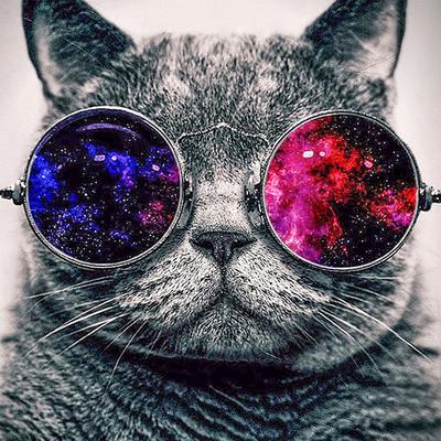 Diamond Painting Mosaic Embroidery Rhinestones Round Diamond Cross Stitch Craft Cool Cat In Sunglass