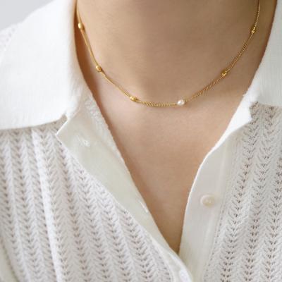 Freshwater Pearl Minimalist Rice Pearl Necklace Collarbone Chain Titanium Steel Plated 18K Gold Color Retaining Jewelry