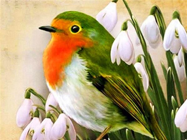 Diamond Art Painting Bird Snow Home Decor Square/round Embroidery Mosaic Animal Winter 5d Diy Wall Sticker