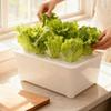 Plastic Soil-Free Planting Box Self Watering Nursery Pots  Vegetable Growing