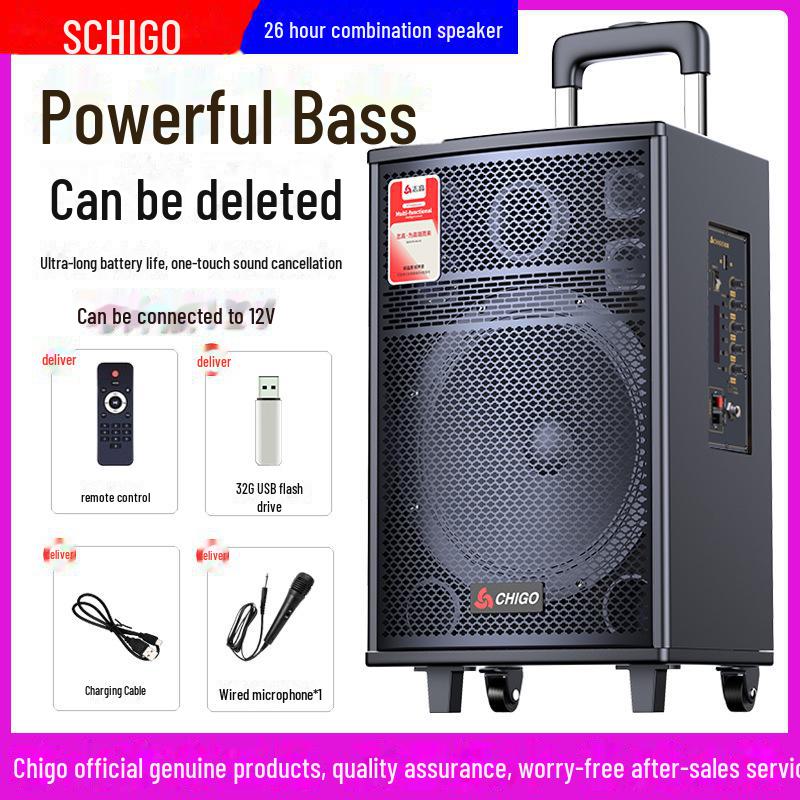Chigo High-Power Outdoor Bluetooth Trolley Speaker for Music & Karaoke