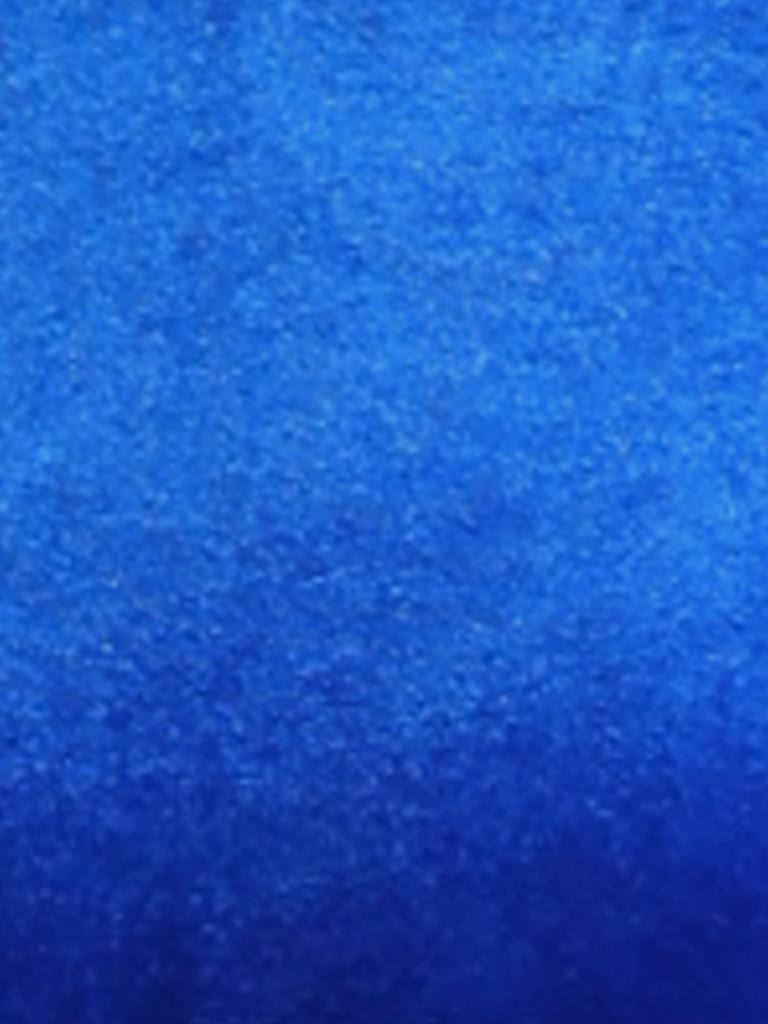 Allegra K Women's Velvet Dress with Smocked Waistline and Long Sleeves, Wedding Guest Dress, Blue, Size L