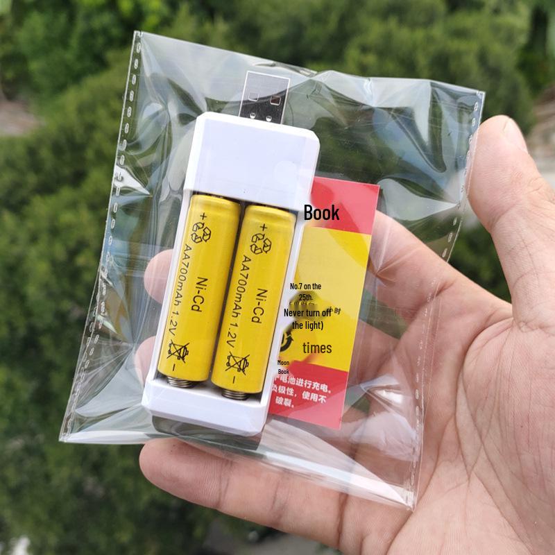 Dual-Slot Battery Charger for AA & AAA Ni-Cd 1.2V: Ideal for Toys, Microphones, and Mice.