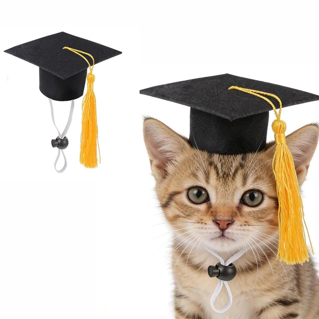 Adjustable Pet Graduation Photo Props & Dress-up Mini Hat for Cats & Hamsters