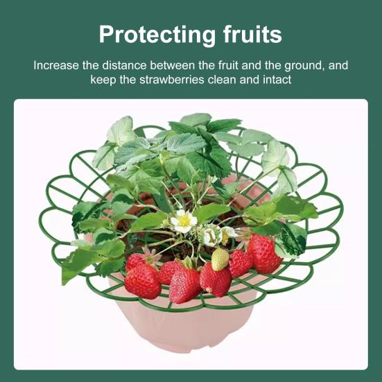 Strawberry Cradle Reusable Strawberry Support Trellis Planter Insert Strawberry Holder Avoid Ground Rot Gift for Home Gardeners