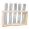 5 Test Tube Plant Terrarium Transparent Observe Growth Status Water Plant Holder with Wooden Stand for Herbs