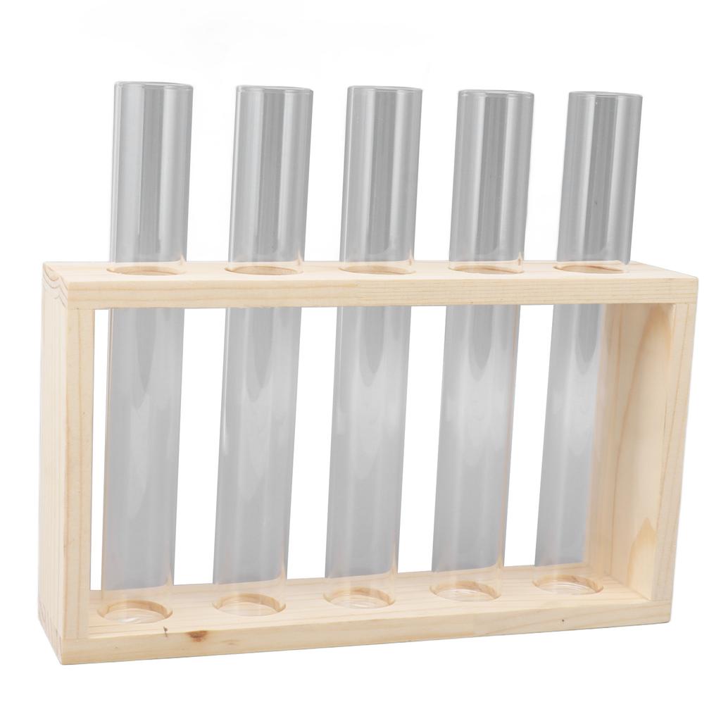 5 Test Tube Plant Terrarium Transparent Observe Growth Status Water Plant Holder with Wooden Stand for Herbs
