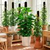Ventilate Climbing Plant Stand Plastic Flower Pots Stand Potted Plant Holder  Indoor Plant Use
