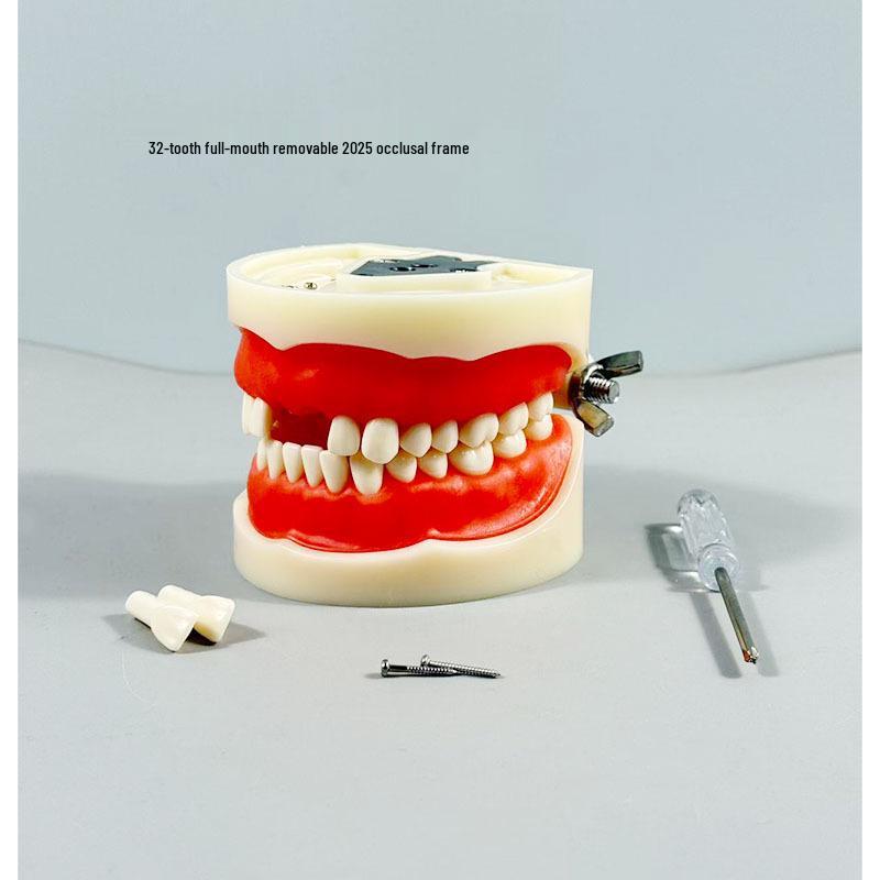 Прозора Знімна Повна Модель Щелепи з М'якими Яснами та Зубами для Підготовки до Імплантації